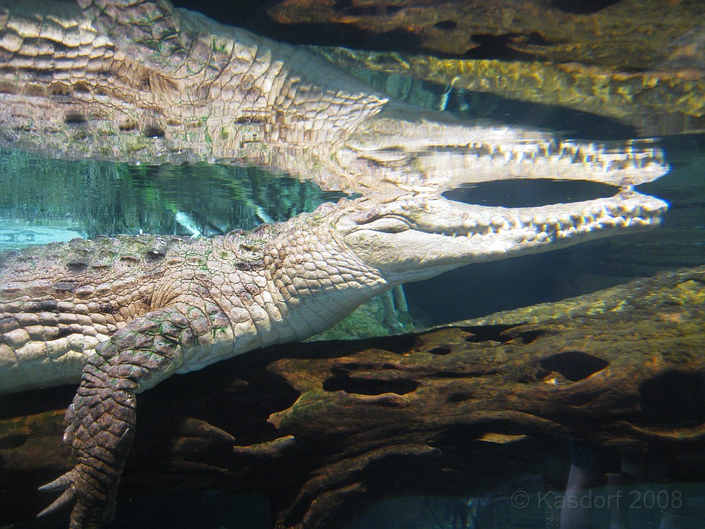 Baltimore MD 2009 2020.jpg - A 4th of July trip to Washington DC in 2009 included a stop in Baltimore MD to see the National Aquarium.